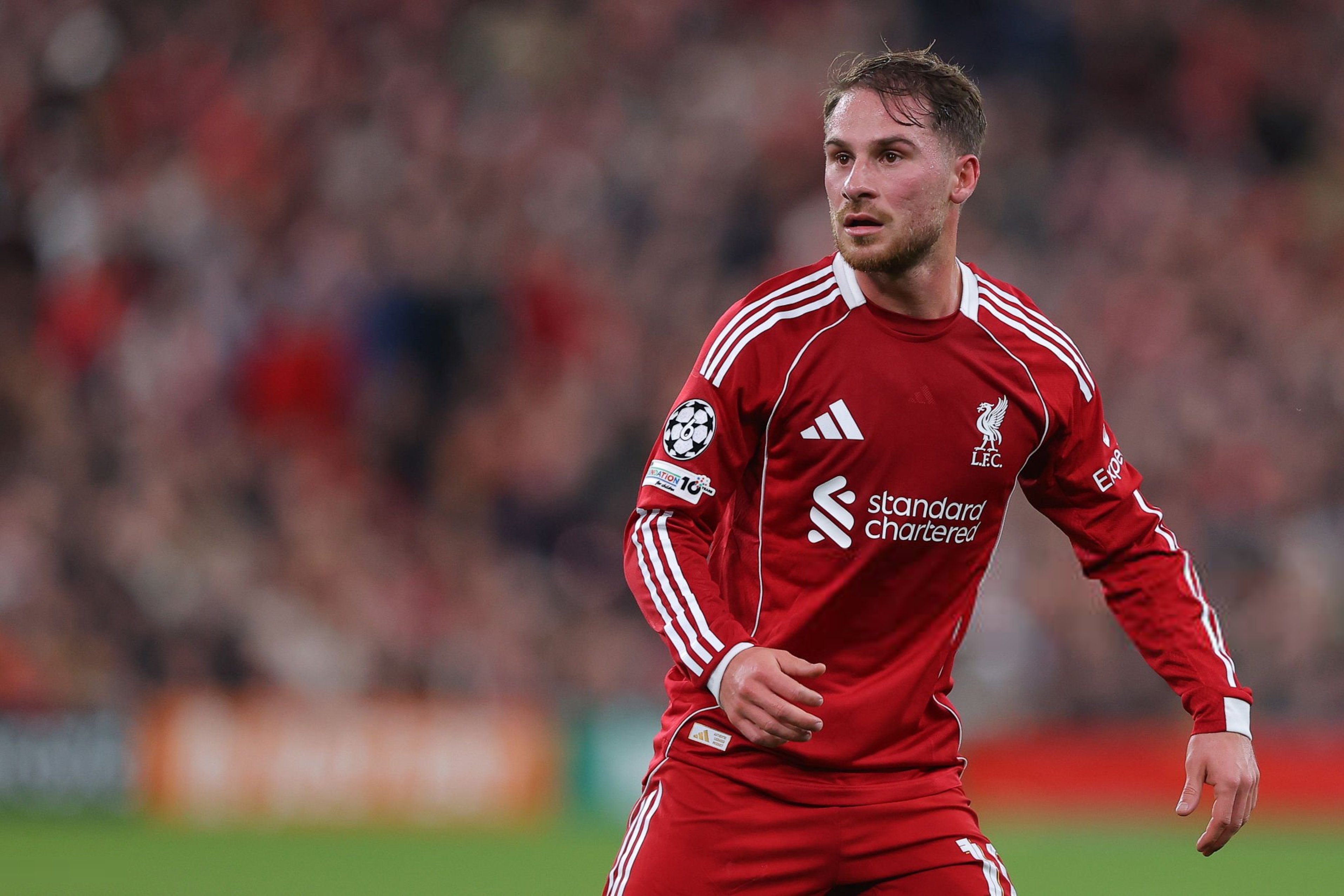 หงส์แดงกำลังพิจารณาเสริมแดนกลาง