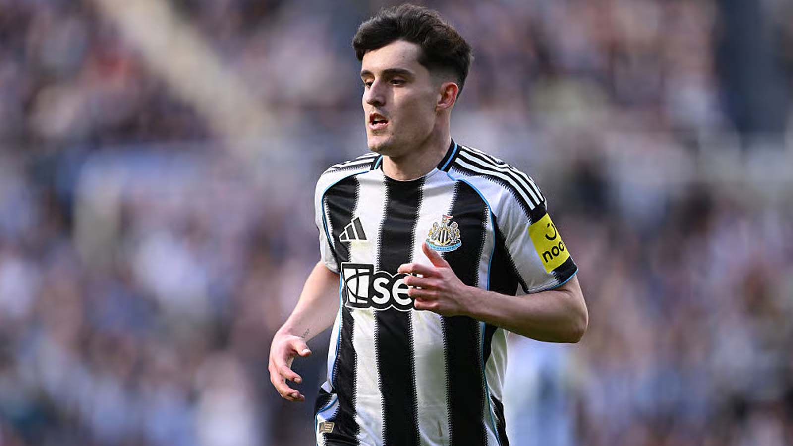 เดอะกันเนอร์สกำลังพิจารณาคว้าตัวกองหลังของนิวคาสเซิลแบบเซอร์ไพรส์หรือไม่